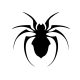 Glaubenssymbol Arachne